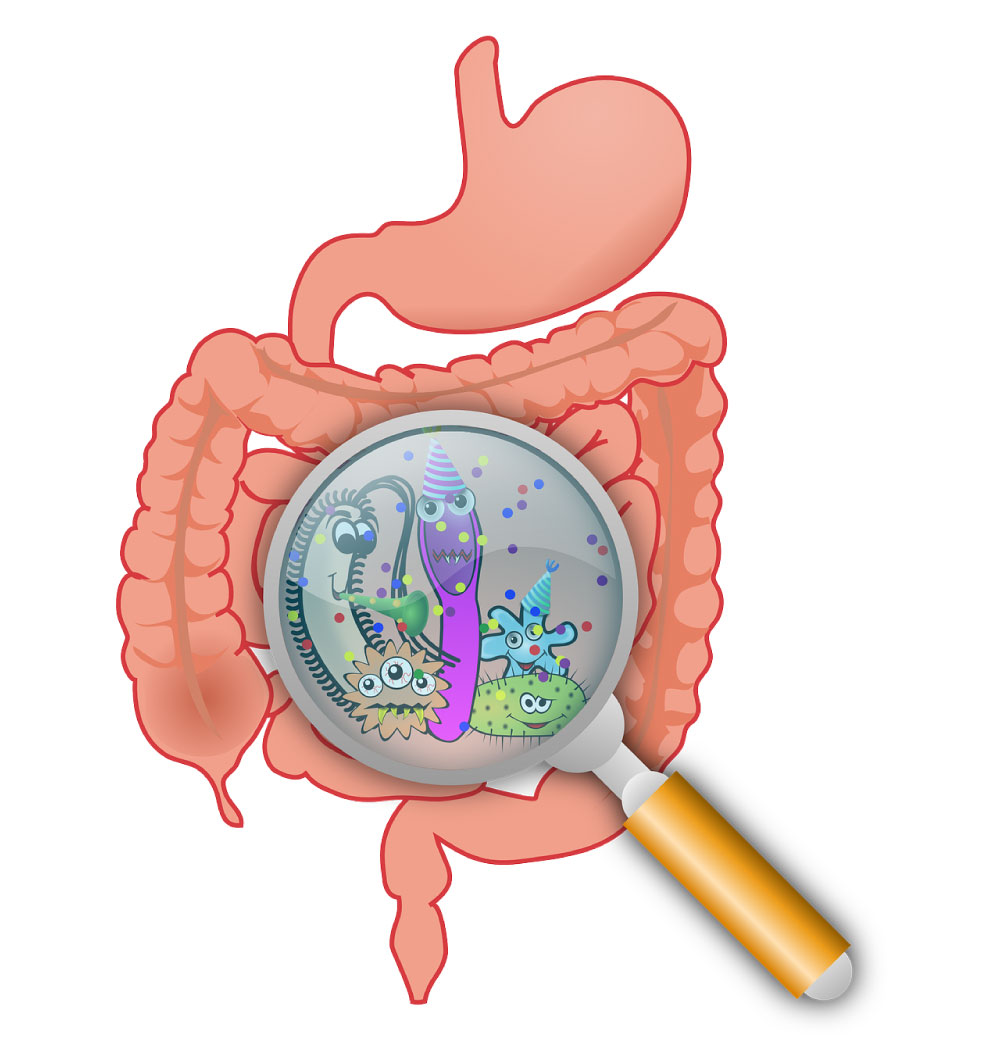 Cómo favorecer la microbiota en los niños